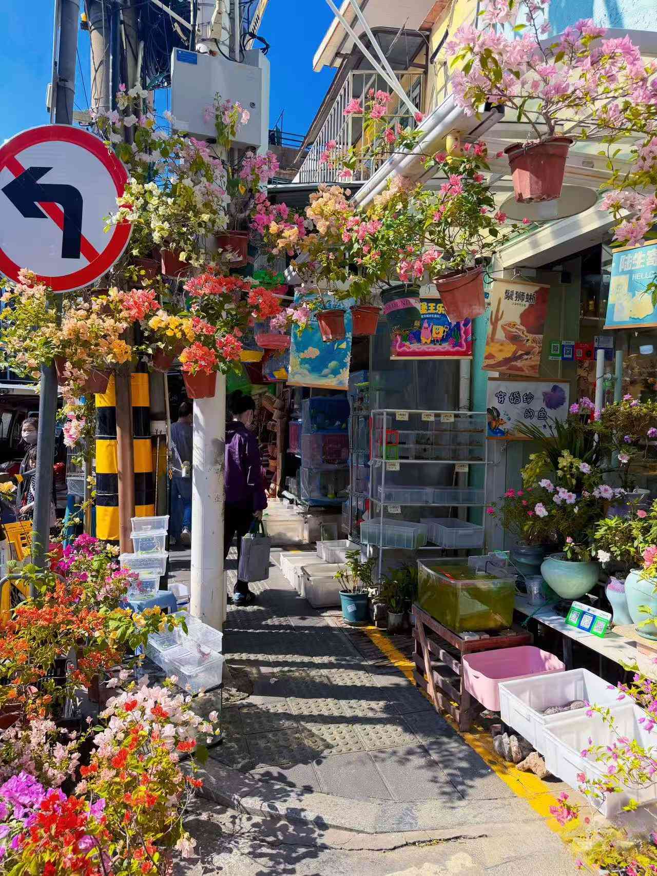 冬日暖陽下的廈門